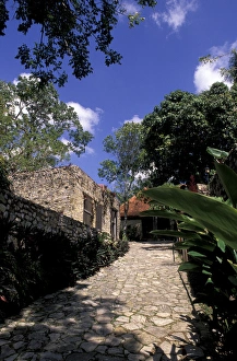 Images Dated 5th October 2004: Cuba, Pinar Del Rio. Old French coffee farmhouse
