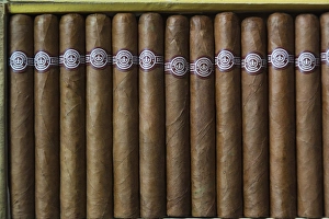 Images Dated 6th March 2012: Cuba, Pinar del Rio Province, Pinar del Rio, Cuban Cigars at the Casa del Habano shop
