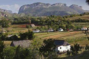 Images Dated 7th March 2012: Cuba, Pinar del Rio Province, Vinales, Vinales Valley, elevated view, morning