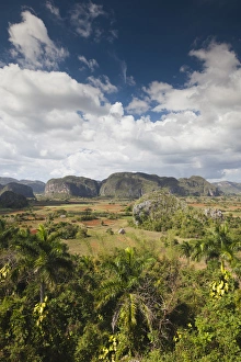 Images Dated 7th March 2012: Cuba, Pinar del Rio Province, Vinales, Vinales Valley, elevated view, daytime