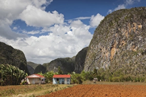 Images Dated 7th March 2012: Cuba, Pinar del Rio Province, Vinales, Vinales Valley, farm by the Mogote del Valle rock