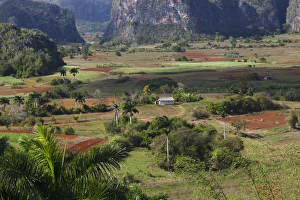 Images Dated 7th March 2012: Cuba, Pinar del Rio Province, Vinales, Vinales Valley, elevated view, daytime