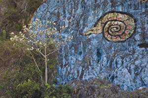 Images Dated 7th March 2012: Cuba, Pinar del Rio Province, Vinales, Vinales Valley, Mural de Prehistoria, rock mural