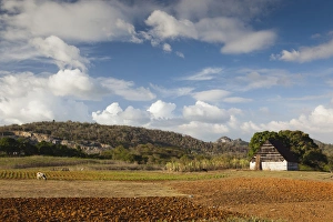 Images Dated 7th March 2012: Cuba, Pinar del Rio Province, Vinales, Vinales Valley, valley farm