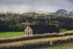Images Dated 7th March 2012: Cuba, Pinar del Rio Province, Vinales, Vinales Valley, valley farm