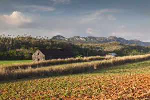 Images Dated 7th March 2012: Cuba, Pinar del Rio Province, Vinales, Vinales Valley, valley farm