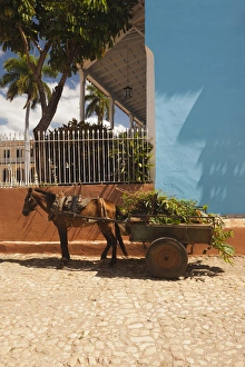 Images Dated 12th March 2012: Cuba, Sancti Spiritus Province, Trinidad, Plaza Mayor, horse and wagon