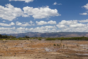 Images Dated 12th March 2012: Cuba, Sancti Spiritus Province, Trinidad, Playa Ancon beach, marsh view