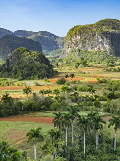 View From Above Prints: Cuba, Vinales, tobacco fields and limestone hills (mogotes)