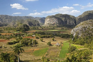 Tobacco Prints: Cuba, Vinales. A view looking over the rich lands of the valley