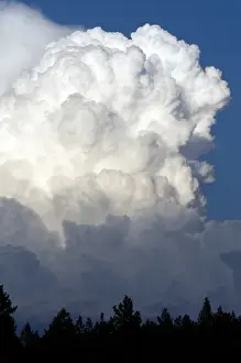 Weather Prints: Cumulonimbus thunderstorm clouds form near Cascade, Idaho, USA