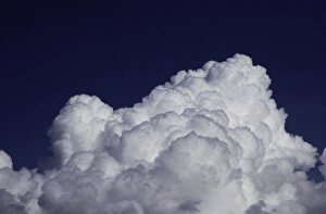 Fluffy Prints: This is the top of a cumulus cloud