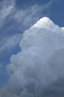 Puffy Prints: Cumulus clouds