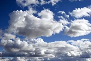 Images Dated 11th February 2007: Cumulus clouds against a blue sky