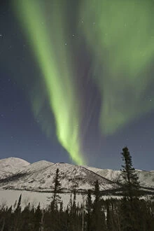 Images Dated 26th March 2007: Curtains of aurora borealis dance across the sky over Grayling Lake on the South