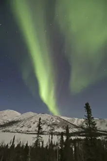 Northern Lights Prints: Curtains of aurora borealis dance across the sky over Grayling Lake on the South