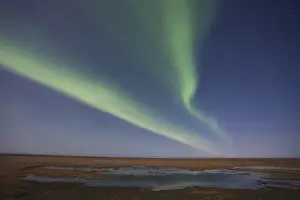 Anwr Prints: Curtains of colored northern lights (aurora borealis) dance in the night sky over