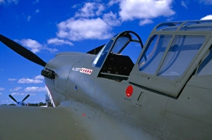 Air Plane Prints: Curtiss P-40 Warhawk on the ground