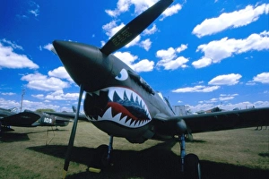 Images Dated 24th February 2009: Curtiss P-40 Warhawk on the ground