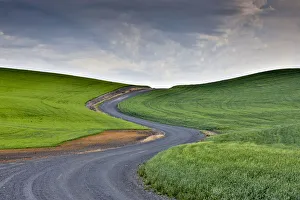 Images Dated 25th March 2019: Curved gravel road through wheat and pea fields near Kamak Butte, Eastern Washington