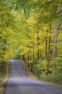 Images Dated 20th September 2019: Curvy Road in Clifty Creek Park, Southern Indiana