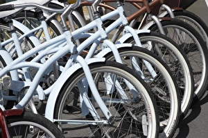 Wellington Prints: Cycle Hire, Queens Wharf, Wellington Waterfront, North Island, New Zealand