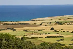 Turkish Prints: Cyprus, Karpas peninsula, view near Cape Yassu (Yenierenkoy)