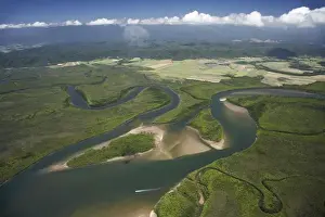 Queens Land Prints: Daintree River, Daintree National Park (World Heritage Area), North Queensland, Australia