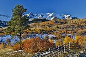 Fence Line Prints: Dallas Mountain and San Juan Mountain Range, Colorado, Autumn colors and aspens glowing