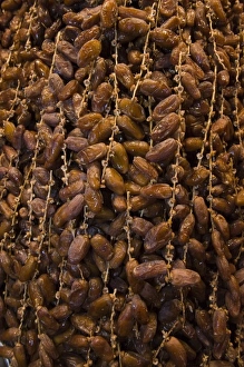 Images Dated 9th June 2009: Dates for sale. Djemaa el-Fna (the square), Marrakesh, Morocco