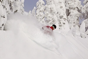 Whitefish Prints: David Downing skis powder at Whitefish Mountain Resort in Whitefish, Montana, USA MR