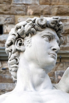The David of Michelangelo (16th century), Piazza della Signoria, Florence (Firenze)