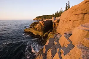 Ledge Prints: Dawn light on the pink granite ledges of the rocky coast in Maines Acadia National Park