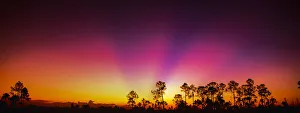 Sun Ray Prints: Dawn rays, along Hwy 41, Florida