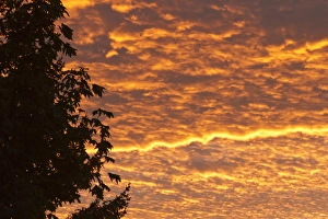 Images Dated 20th September 2011: Dawn sky, Portland, Oregon