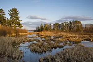 Wet Land Prints: Days last light falls on Lake Antoine in Iron Mountain UP Michigan