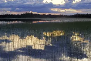 Wet Land Prints: Deadman Lake, Tetlin NWR, AK. Clouds reflect in the lake - part of the 400000+ acres of Tetlin N