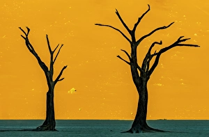 Dead Prints: Deadvlei, Namibia, Africa. Portrait at sunrise over white clay pan of two camel thorn trees which died 700 years ago