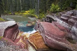 Dead Wood Prints: Deadwood Falls on Reynolds Creek in autumn in Glacier National Park in Montana