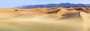 Janet Muir Prints: Death Valley. Landscape of Mesquite Flats Sand Dunes