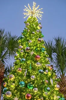Festive Prints: Decorated Christmas tree outdoors