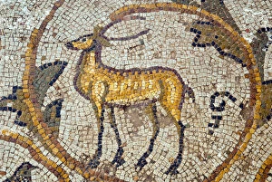 Tunisia Gallery: Deer mosaic, New House Of Hunt, Bulla Regia Archaeological Site, Tunisia, North Africa