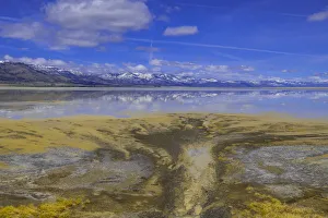 Richard Wright Prints: A delta on Middle Alkali Lake east of Cedarville, California
