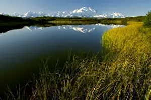 Massive Prints: Denali, Mt. Kinley, the highest mountain in North America at over 20, 000 feet rises