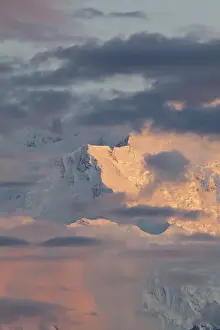 Images Dated 28th August 2011: Denali National Park, Alaska, alpenglow illuminates Pioneer Ridge and the Wickersham