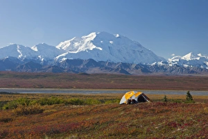 Images Dated 29th August 2011: Denali National Park, Alaska, Mt. McKinley towers behind a camp on brilliantly colored