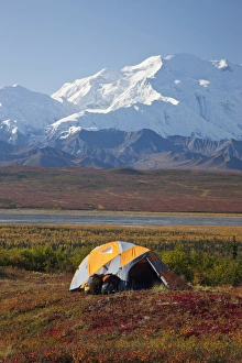 Images Dated 29th August 2011: Denali National Park, Alaska, Mt. McKinley towers behind a camp on brilliantly colored