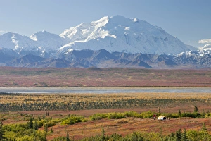 Images Dated 29th August 2011: Denali National Park, Alaska, Mt. McKinley towers behind a camper and his tent