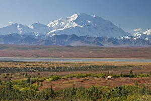 Images Dated 29th August 2011: Denali National Park, Alaska, Mt. McKinley towers behind a camper and his tent
