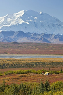 Images Dated 29th August 2011: Denali National Park, Alaska, Mt. McKinley towers behind a camper and his tent
